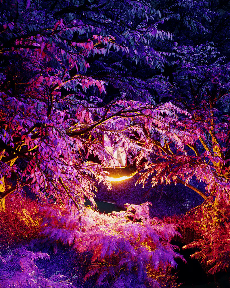 Purple Valley #10 Malaysia, digital artwork by Ottis Ots